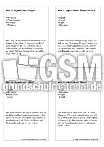 Quiz-Karten-Tiernamen 29.pdf